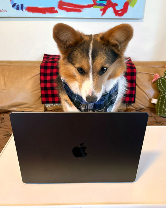 On the Job with Pepper & Tilly