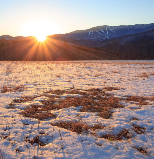 Mud Season in Vermont: When the Snow Lets Go
