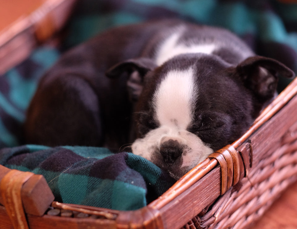 5 Tips on Recycling Flannel