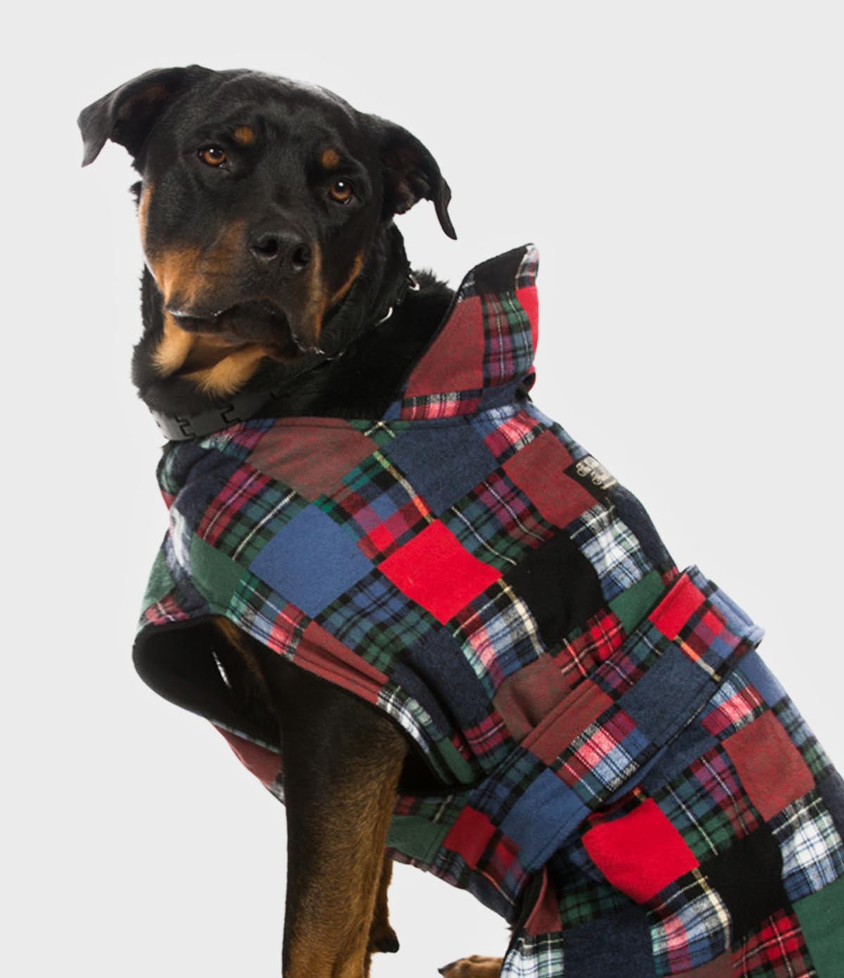 Flannel Dog Jacket