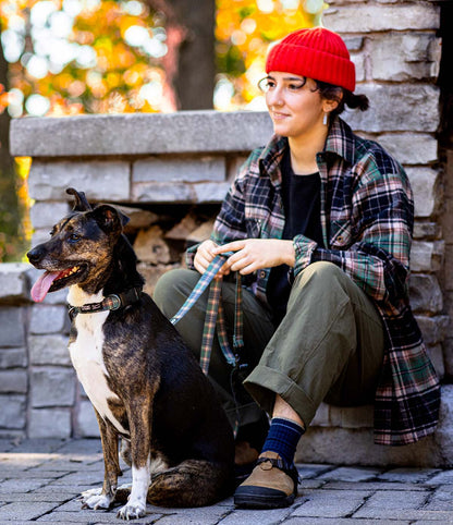 Everyday Dog Collar - Earth