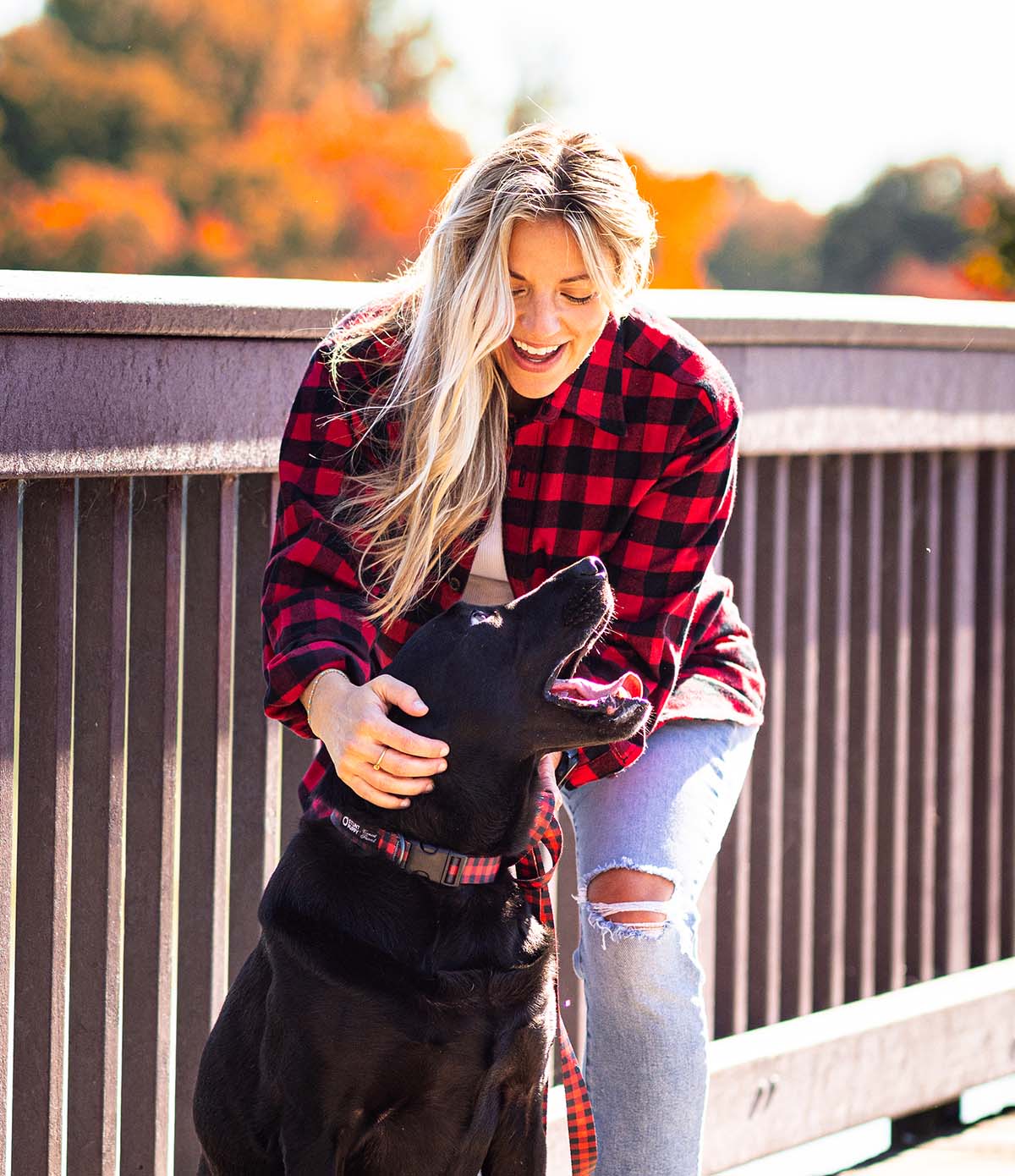 Everyday Dog Collar - Red Buffalo