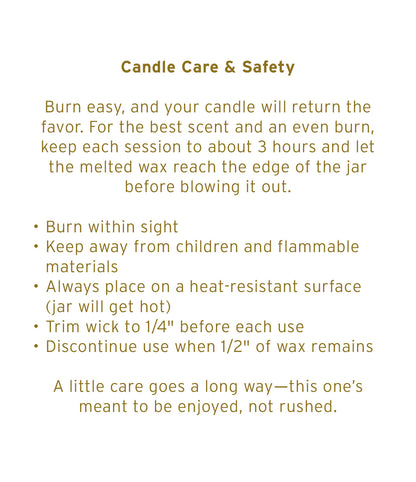Hayden Rowe Soy Candle, 7 oz - Pre-Pack, Beach Pine